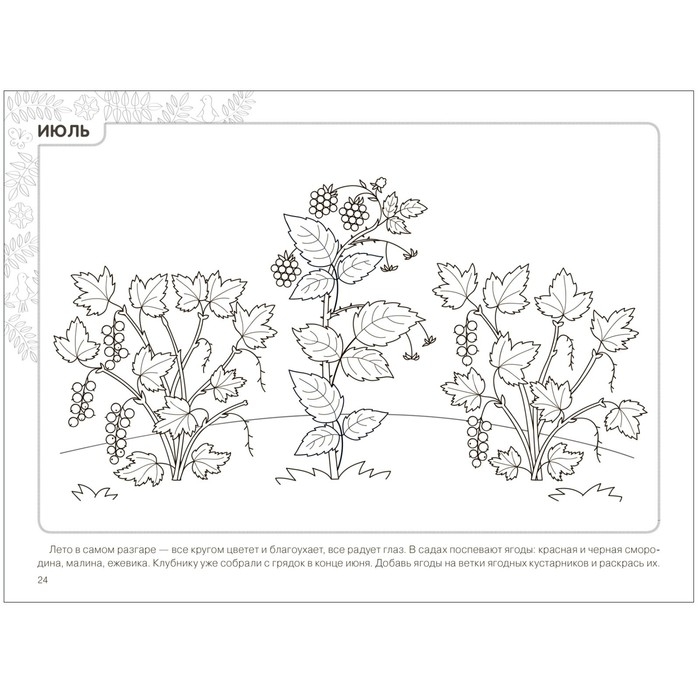 Парциальная программа &laquo;Юный эколог&raquo;. Календарь сезонных наблюдений. 5-9 лет. Николаева С.Н.