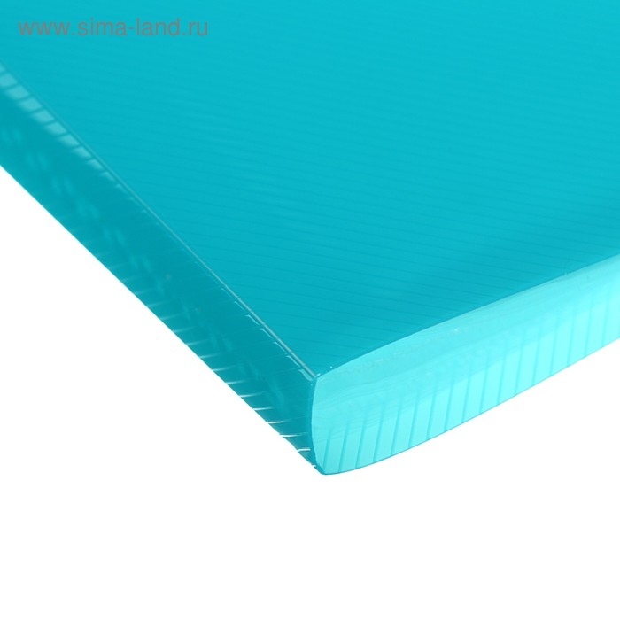 Папка с 20 вкладышами А4, 500 мкм, ErichKrause Diagonal Vivid, термосварка, микс Папка с 20 вкладышами А4, 500 мкм, ErichKrause Diagonal Vivid, термосварка, микс