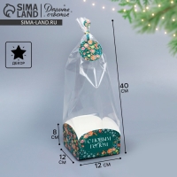 Пакет с коробкой &laquo;Новогодняя ботаника&raquo;, 12 х 12 х 40 см, Новый год