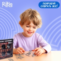 Головоломка металлическая &laquo;Загадки Викингов&raquo;, набор 6 шт.