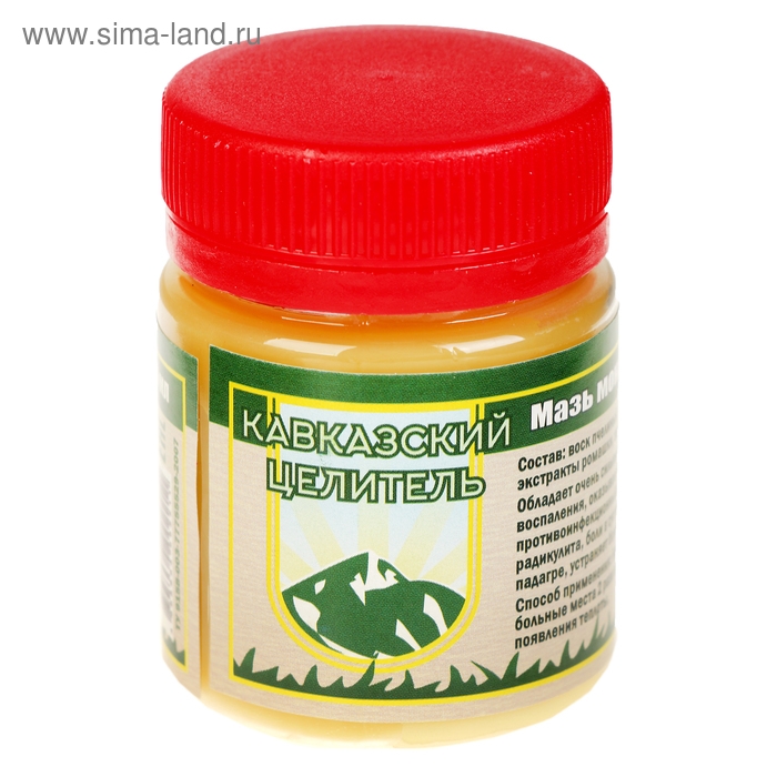 Мазь монастырская &laquo;Живица с мухомором&raquo;. ранозаживляющая, 40 мл