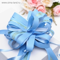 Бант-шар No6, цвет голубой Бант-шар No6, цвет голубой