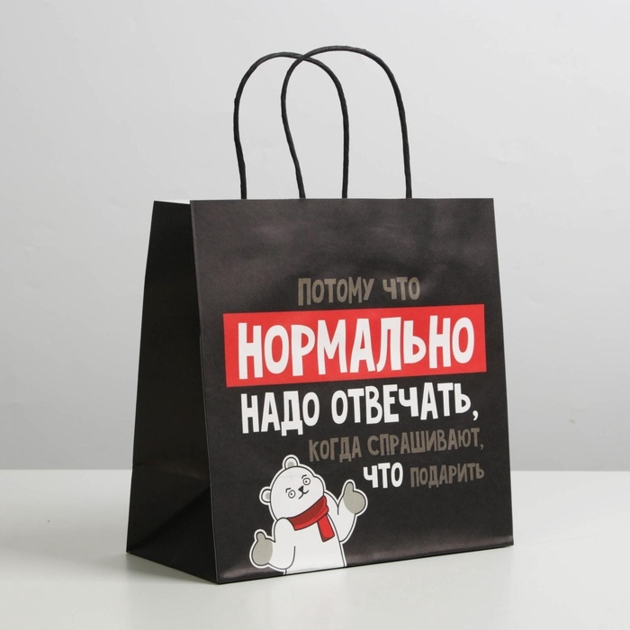 Пакет подарочный новогодний &laquo;Нормально надо отвечать&raquo;, 22 х 22 х 11 см