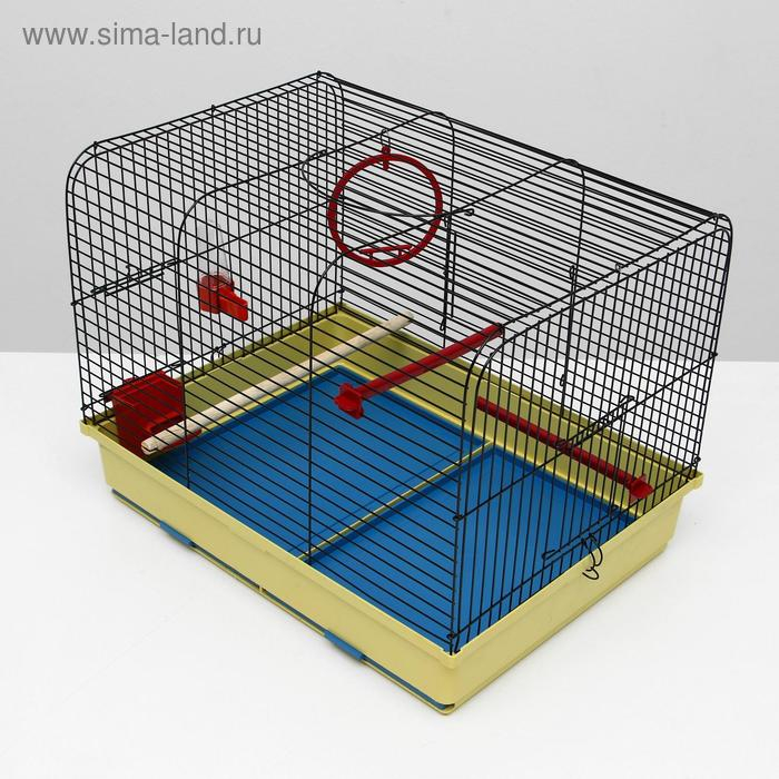 Клетка для птиц Клетка для птиц "Грация", 49 х 36 х 37 см, микс цветов