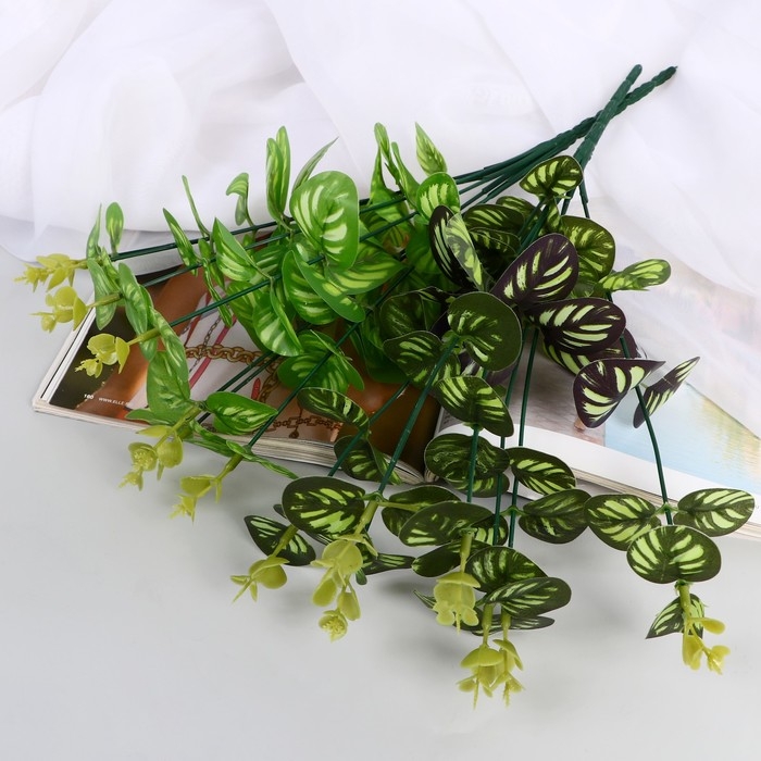 Букет Букет "Кассия декоративная" 29 см, микс