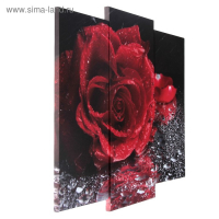 Модульная картина "Роза под дождём"  (2-25х52; 1-30х60) 60х80 см