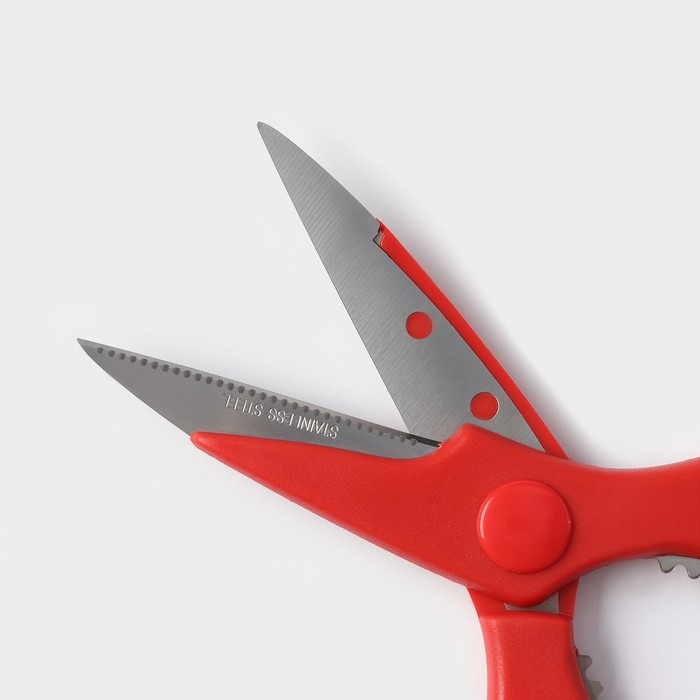 Ножницы кухонные Доляна &laquo;Вега&raquo;, 20 см, цвет МИКС