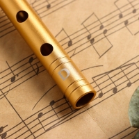 Флейта Music Life D золотая, профи, 30 см Флейта Music Life D золотая, профи, 30 см