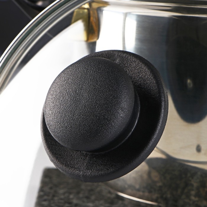 Крышка стеклянная для сковороды и кастрюли &laquo;Доляна&raquo;, d=18 см, нержавеющий обод, пластиковая ручка