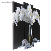 Модульная картина "Орхидеи в вазе"  (2-25х52; 1-30х60) 60х80 см