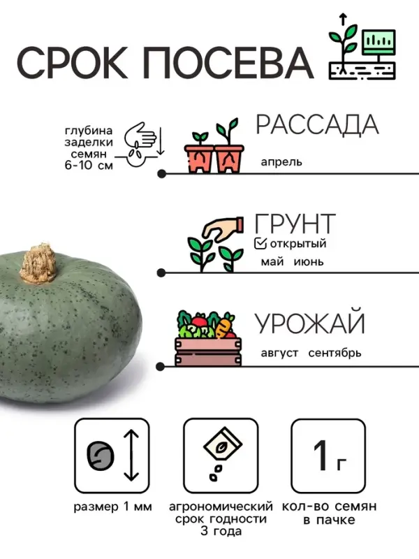 Семена Тыква "Крошка", 1 г