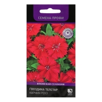 Семена цветов Гвоздика Телстар "Кармин Роуз", 10 шт. Семена цветов Гвоздика Телстар "Кармин Роуз", 10 шт.
