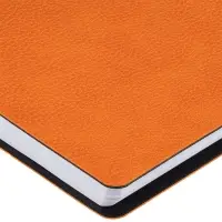 Ежедневник Strep Front на заказ, недатированный, оранжевый