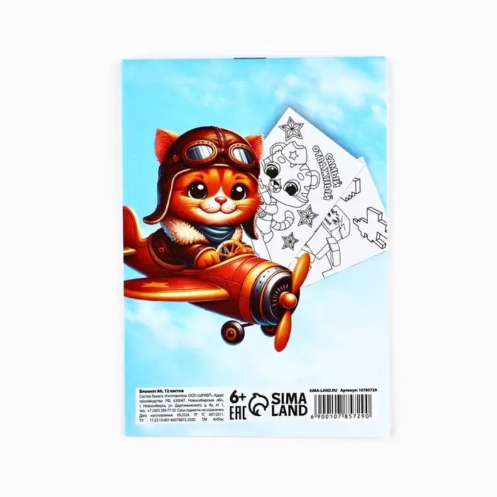 Блокнот раскраска А6, 12 л. &laquo;Енот. 23 февраля&raquo;