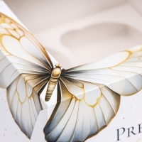 Коробка для 4 капкейков с окном , "Бабочки", 16 х 16 х 10 см