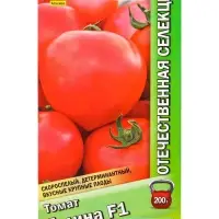 Семена Томат Галина F1 Отечественная С.екция, Ц/П,10 шт.
