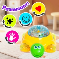 Каталка музыкальная &laquo;Черепашка&raquo;, световые, звуковые эффекты, работает от батареек