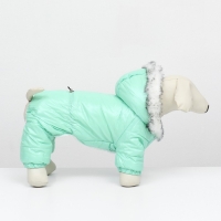 Комбинезон "Глянец", размер M (ДС 30, ОГ 40, ОШ 30 см, до 8 кг), мятный