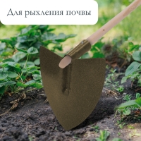 Мотыга остроносая М-03, тулейка 30 мм, без черенка Мотыга остроносая М-03, тулейка 30 мм, без черенка