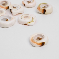 Бусина «Ракушка» спираль, 2,1-2,8 см, (набор 50 г), цвет бело-коричневый Бусина «Ракушка» спираль, 2,1-2,8 см, (набор 50 г), цвет бело-коричневый