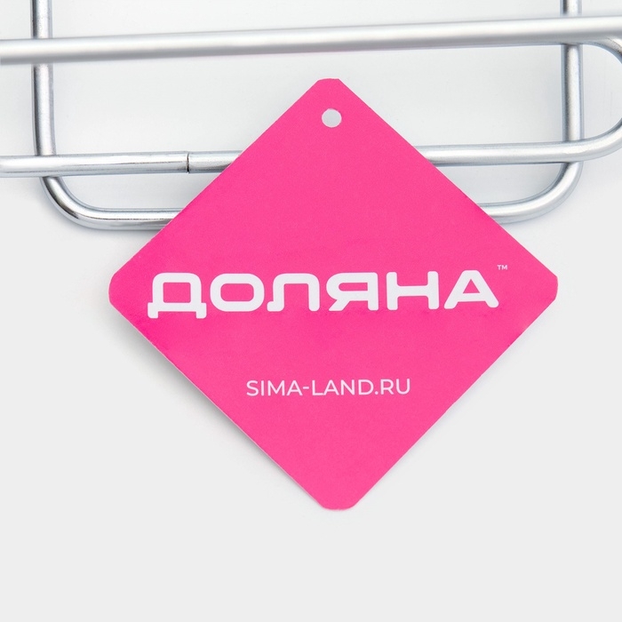 Держатель для туалетной бумаги двойной Доляна, 18&times;15&times;20 см