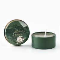 Свеча новогодняя в железной банке &laquo;Новый год: Тепла и уюта&laquo;Новый год: аромат мята, 4.8 см