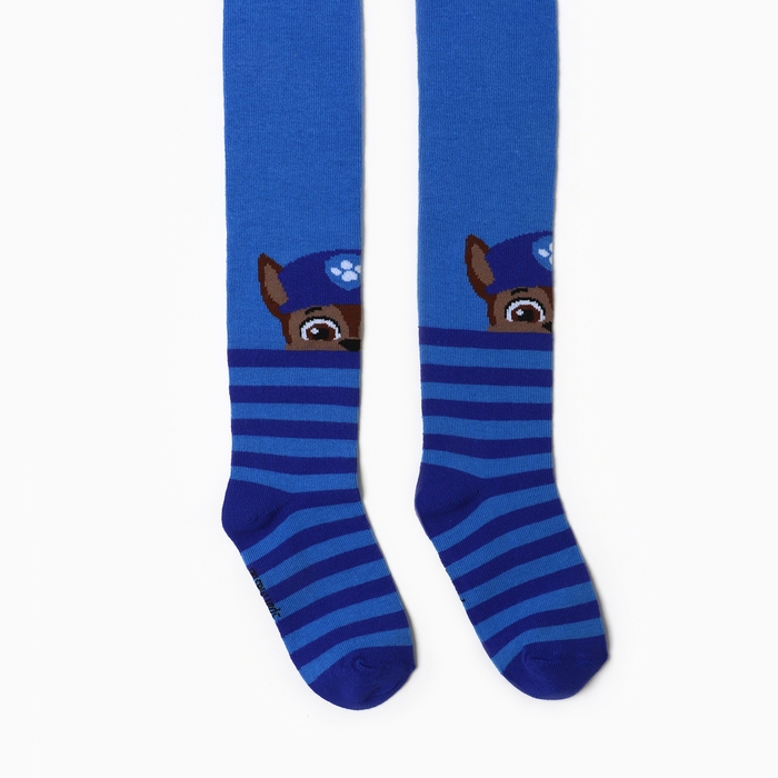 Колготки PAW PATROL &laquo;Гончик&raquo;, цвет голубой, синий, 98-104 см