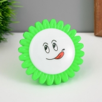 Ночник пластик от сети "Цветы на цветке" МИКС 7,5х7,5х2,7 см RISALUX Ночник пластик от сети "Цветы на цветке" МИКС 7,5х7,5х2,7 см RISALUX