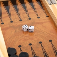 Настольная игра 3 в 1 "Цейтнот": шахматы, шашки, нарды, 24 х 24 см