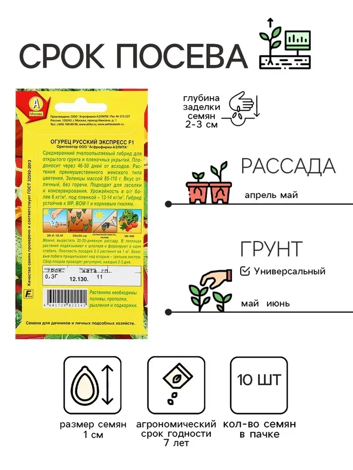 Семена Огурец "Русский экспресс" F1, среднеранний, пчелоопыляемый,  10 шт.