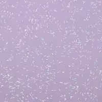 Пленка для цветов, &laquo;Звёздное небо&raquo;, лиловый, 57&times;57 см