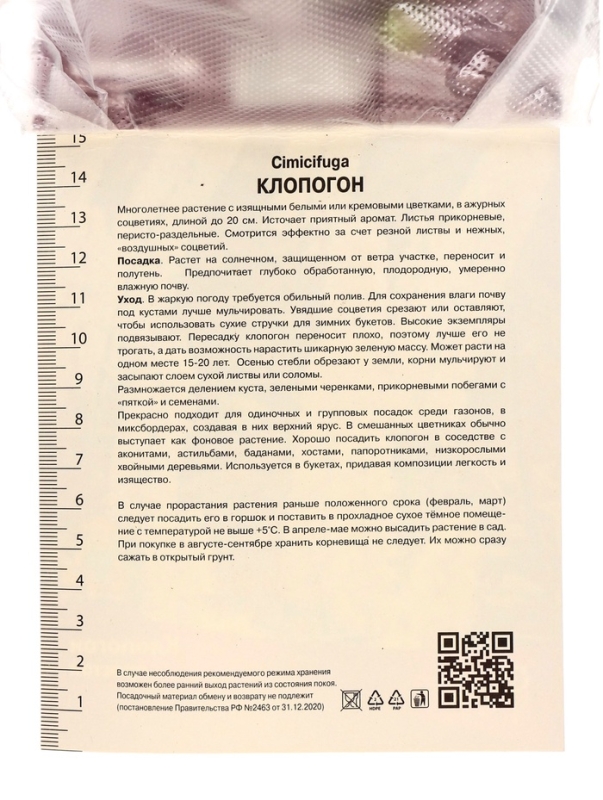 Клопогон простой, р-р I, 1 шт, Весна 2025 Клопогон простой, р-р I, 1 шт, Весна 2025