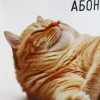 Кружка керамическая &laquo;Абонент отдыхает&raquo;, 320 мл