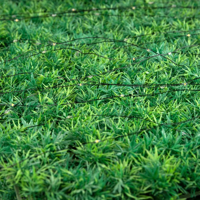 Гирлянда &laquo;Нить&raquo; 10 м роса, IP44, серебристая нить, 100 LED, свечение тёплое белое, 2 режима, солнечная батарея