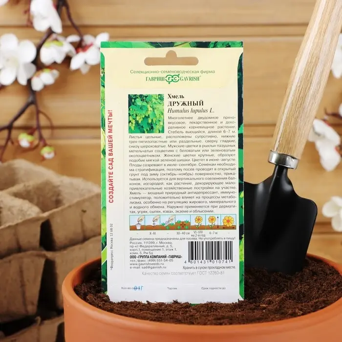 Семена цветов Хмель "Дружный", ц/п,  0,1 г