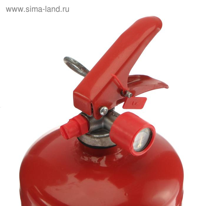 Огнетушитель порошковый "Ярпожинвест" ОП-1(3), АBCE-01 дм.110(А)