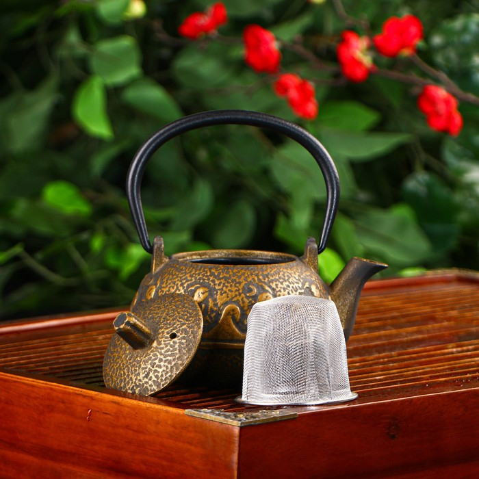 Чайник для плиты Доляна &laquo;Волна. Этно&raquo;, 300 мл, с ситом, чугун, цвет бронзовый