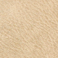 Ежедневник датир 2025г А6+ 176л ESCALADA, мяг обл, иск кожа, тис ф, кр бл 70г/м2, бежевый