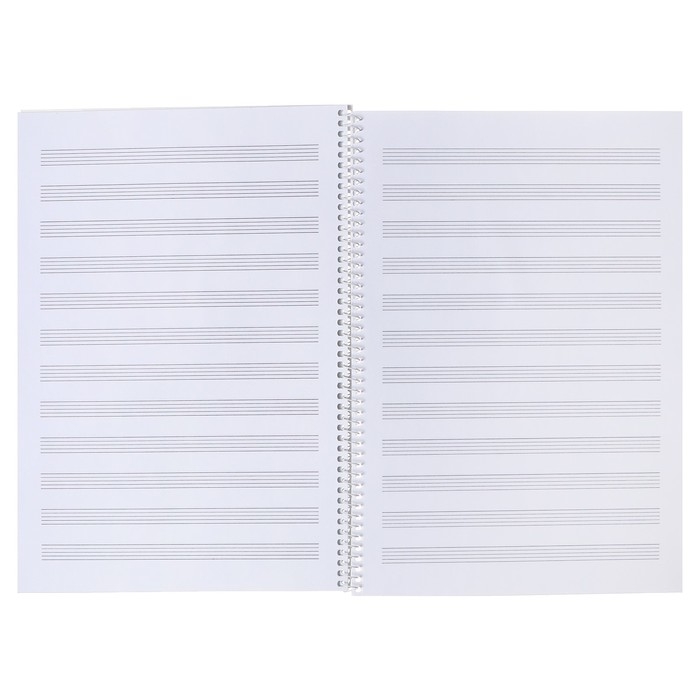 Тетрадь для нот А4 24 листа, на гребне "Музыка для души", обложка мелованный картон, справочная информация, блок 80 г/м2