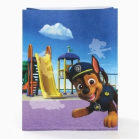 Набор крафтовых пакетов со стикерами, Щенячий патруль, 18х22х12 см