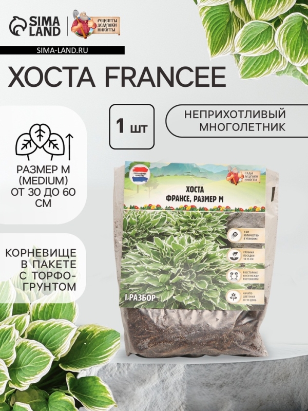 Хоста Francee, корневище в пакете с торфогрунтом, р-р I, размер M,1 шт.