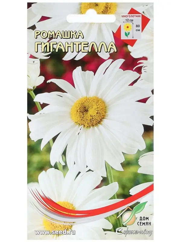 Семена Ромашка "Гигантелла",  70 шт