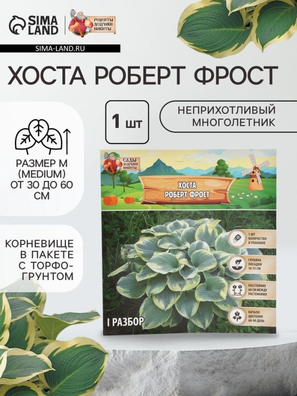 Хоста &laquo;Роберт Фрост&raquo;, корневище в пакете с торфогрунтом, р-р I, 1 шт.