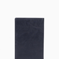 Обложка для автодокументов, с тиснением, синяя