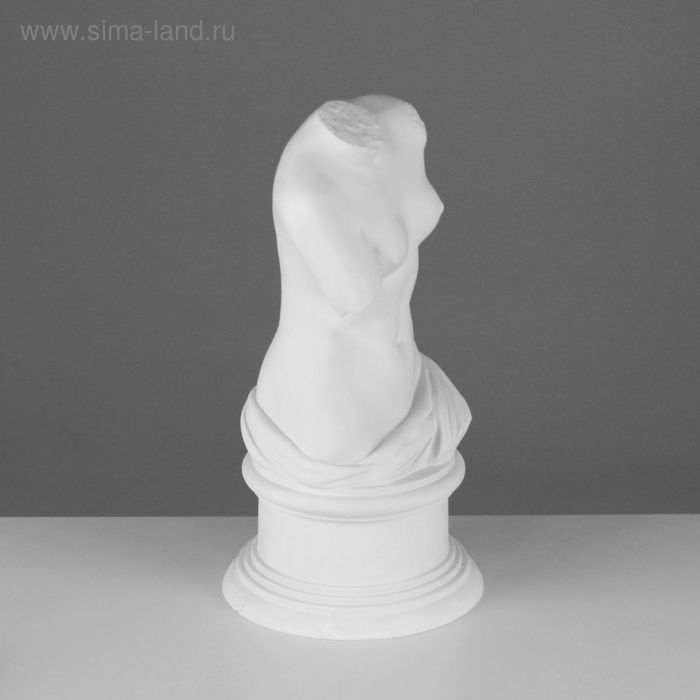 Гипсовая фигура Торс Венеры Милосской, 20 х 20 х 36 см