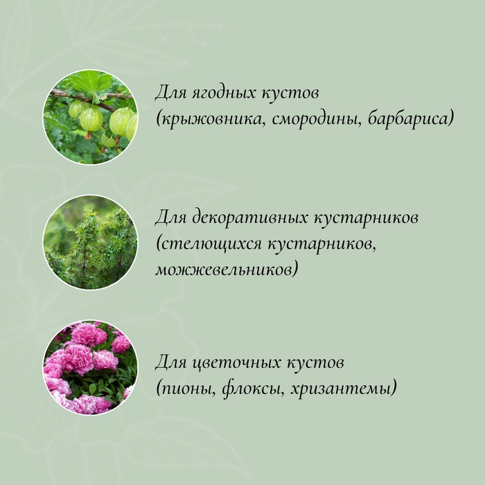 Кустодержатель, d=50 см, h=90 см, ножка d=0,3 см, металл, набор 2 шт., зелёный Кустодержатель, d=50 см, h=90 см, ножка d=0,3 см, металл, набор 2 шт., зелёный