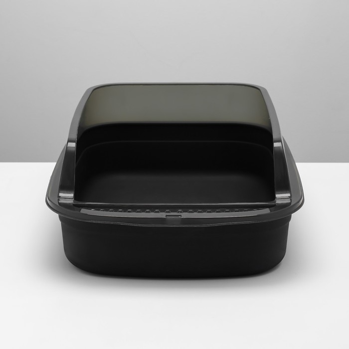 Туалет с прозрачными бортами с совком и фильтром, 50 х 34 х 18 см, чёрный Туалет с прозрачными бортами с совком и фильтром, 50 х 34 х 18 см, чёрный