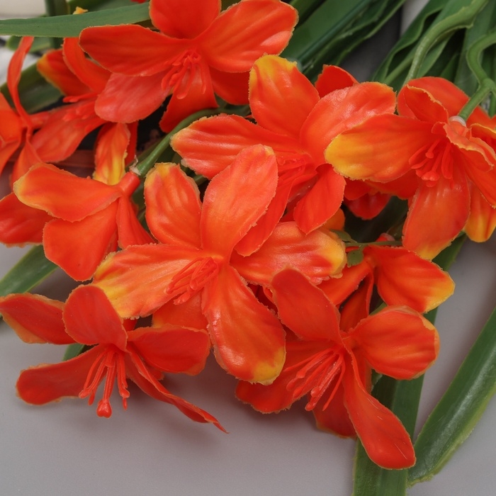 Букет "Хоста грация" 43 см, микс