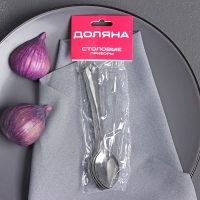 Набор чайных ложек Доляна &laquo;Капля&raquo;, 15 см, 6 шт, цвет серебряный