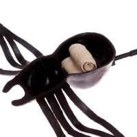 Прыгающий &laquo;Паук&raquo;